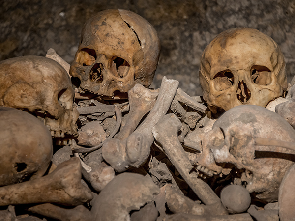 Bones and skulls in the catacombs